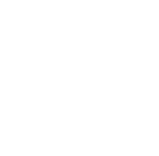 Github share icon